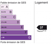 ges 37